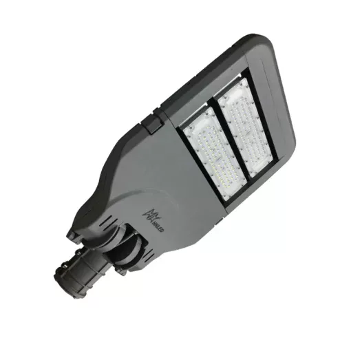 Đèn đường nông thôn 100W - D01