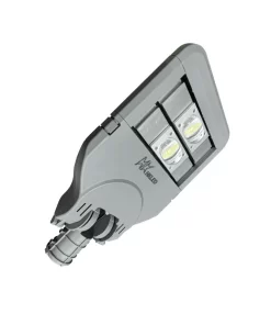 Đèn đường nông thôn 100W - D01